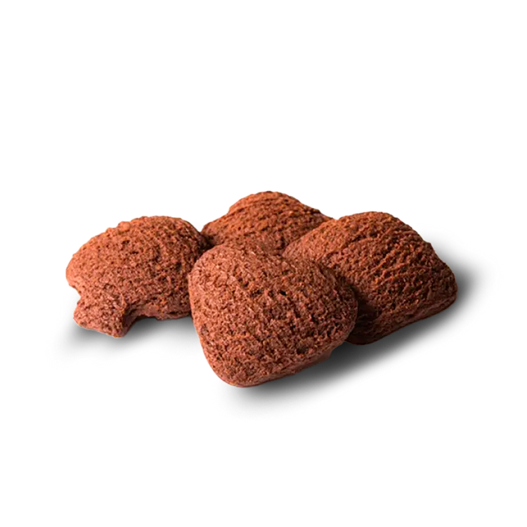 COCOA BISCUITS